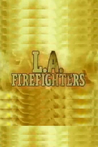 Fire Co. 132 poster