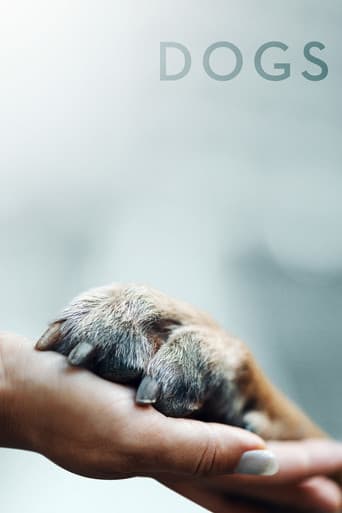 Dogs poster
