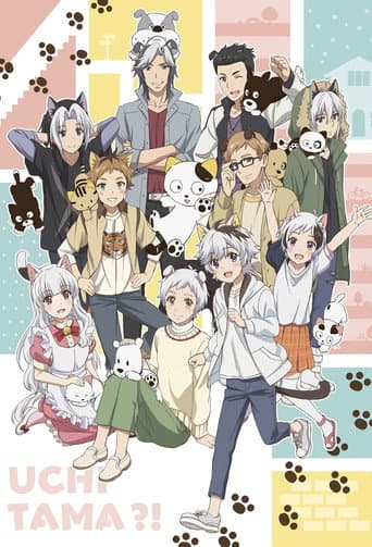 Uchitama?! Have You Seen My Tama? poster