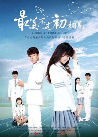 Bound at First Sight poster
