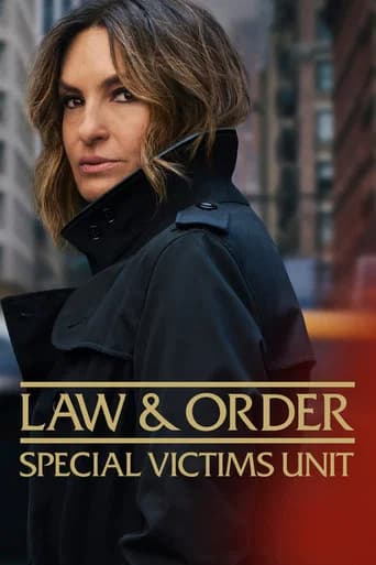 Law & Order: Special Victims Unit poster
