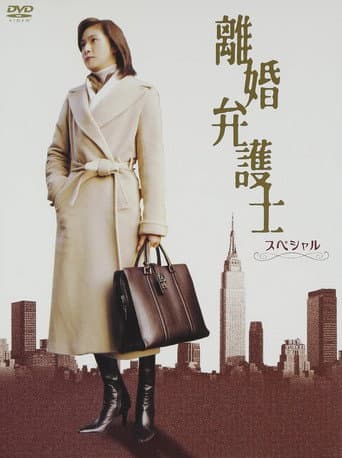 Divorce Lawyer poster