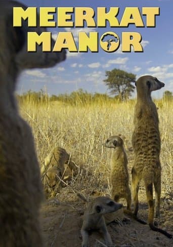 Meerkat Manor poster