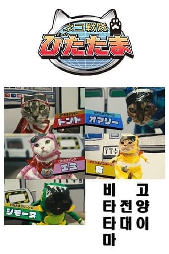 Cat Squadron Vitatama poster