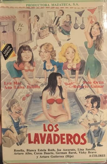 The Laundry Room poster