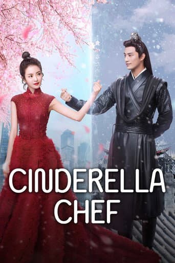 Cinderella Chef poster