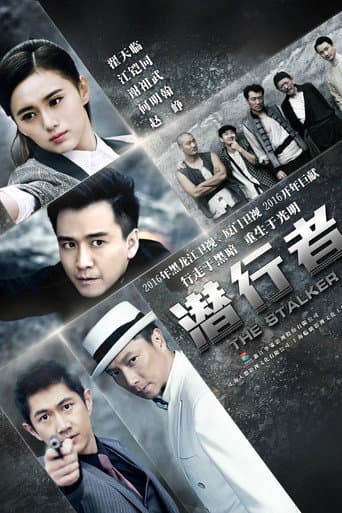 The Stalker poster